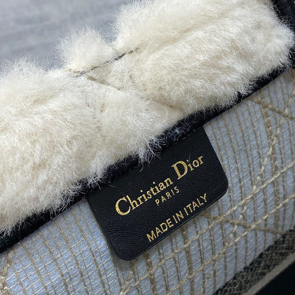 Medium Dior Book Tote - Top Club