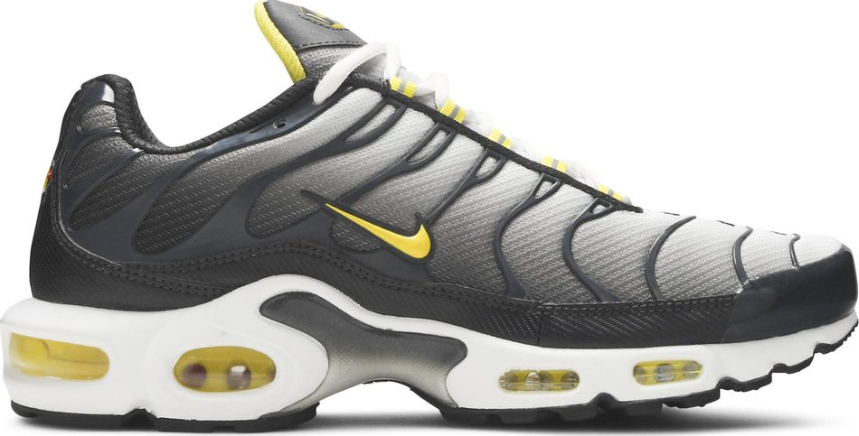 Air Max Plus  Bumble Bee  CI2299-002 - Sneaker Replica Workshop