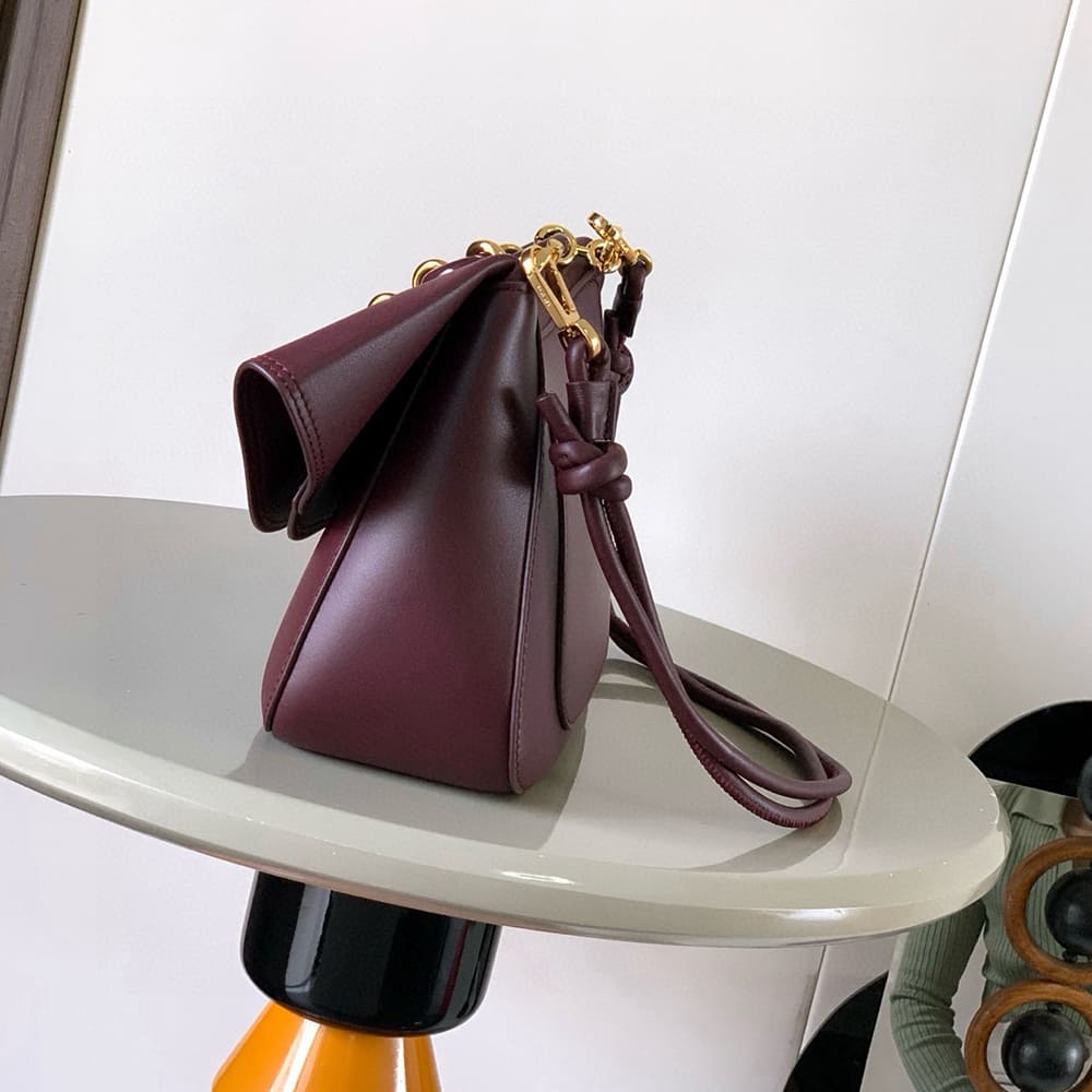 Loewe Medium Ola bag in smooth calfskin(HIGH-END GRADE) - Top Club
