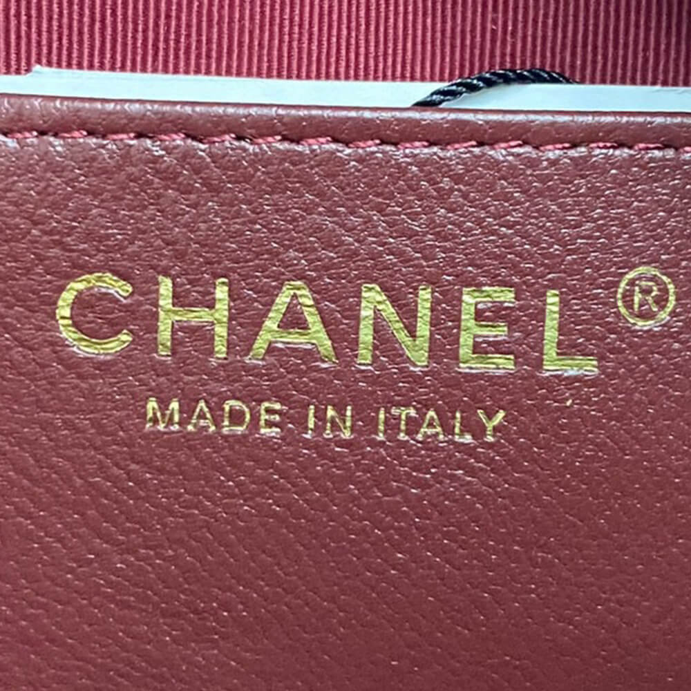 CHANEL Mini Camera Case - Top Club