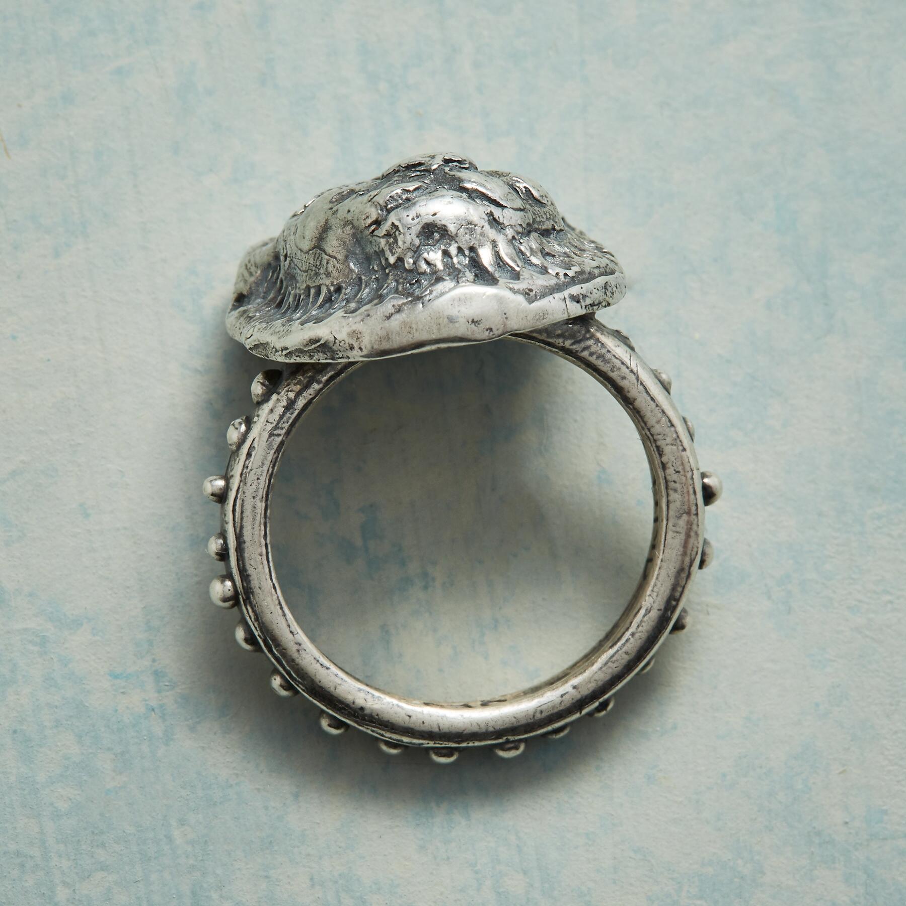 Courage And Truth Ring - Sundance Living