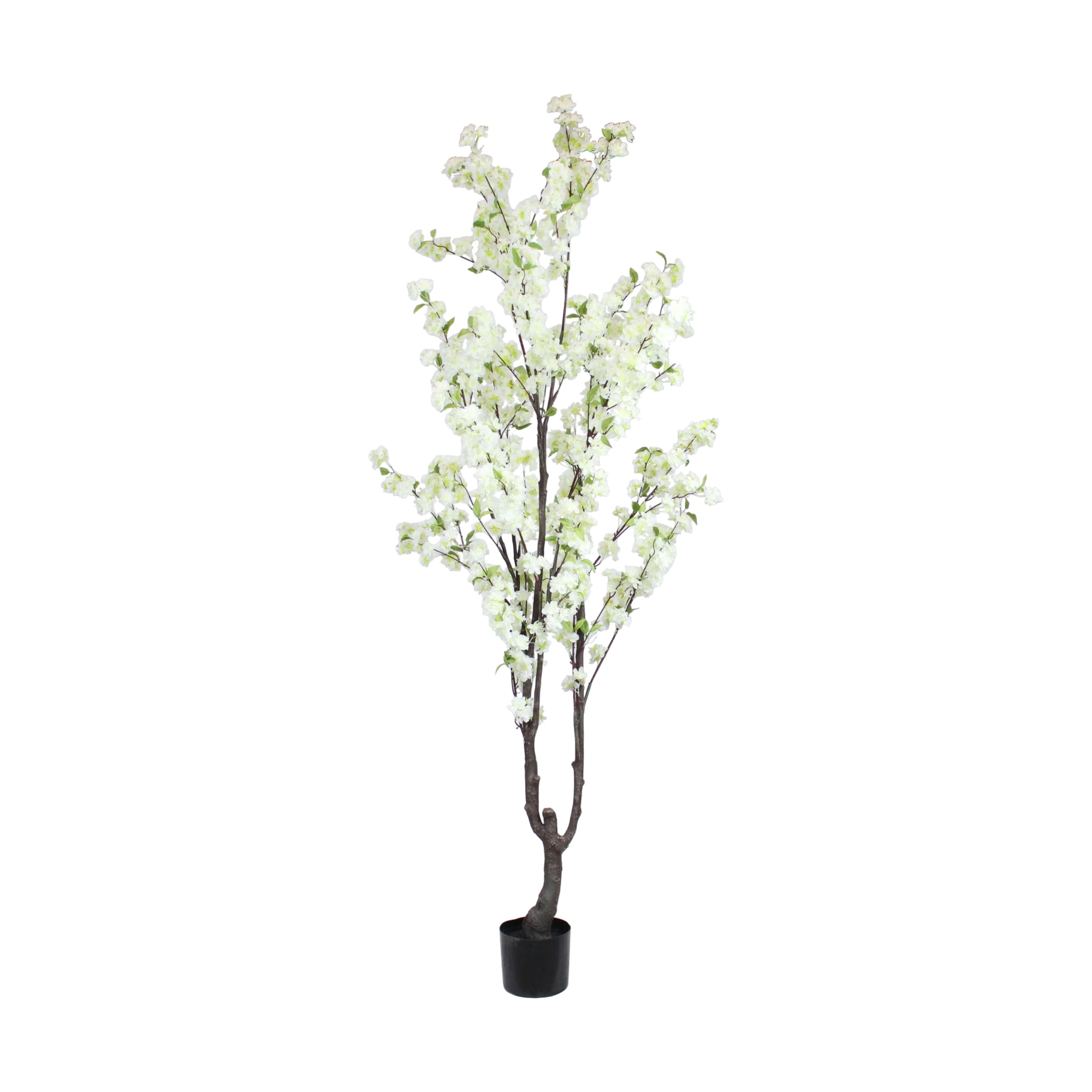 Blossom tree