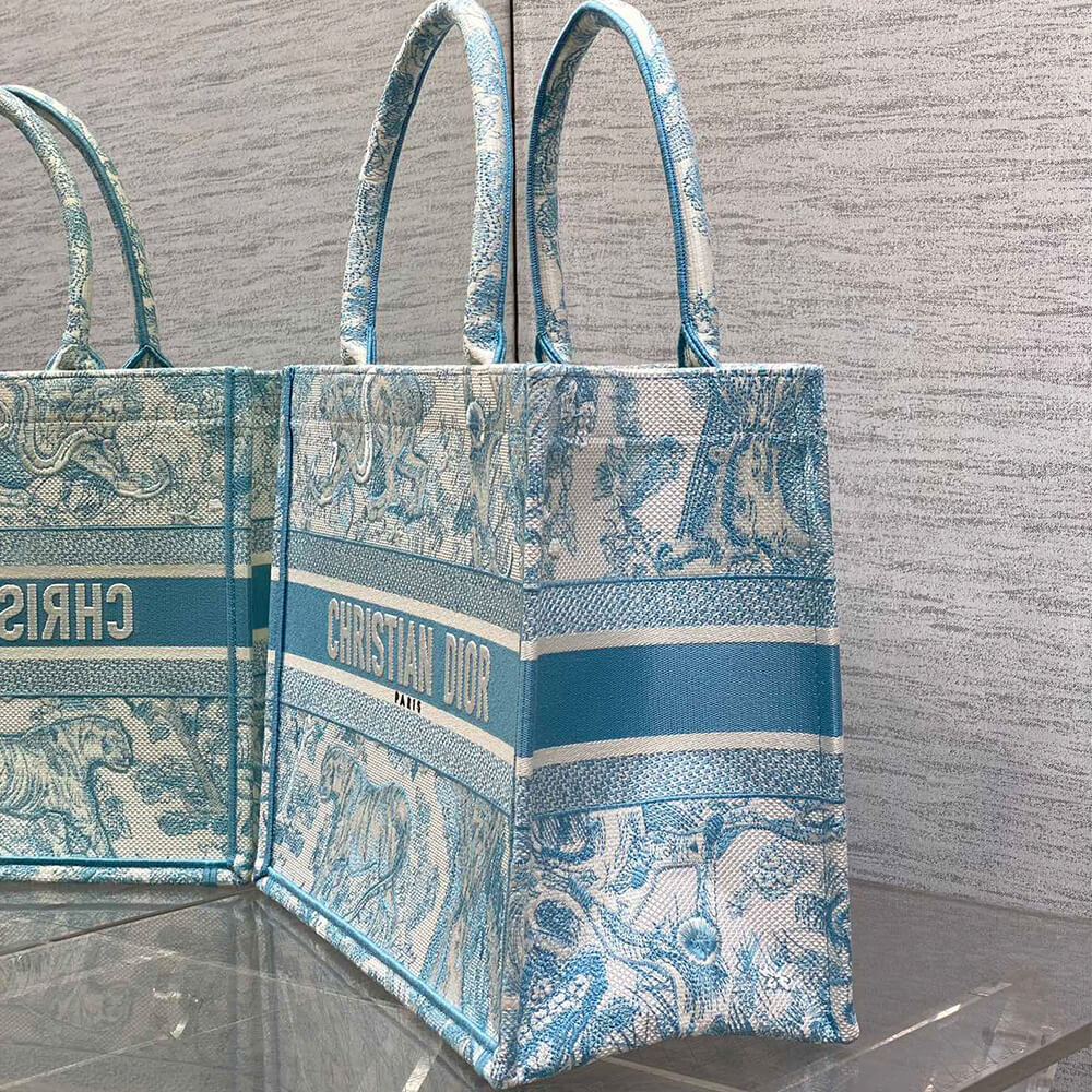 Medium Dior Book Tote - Top Club