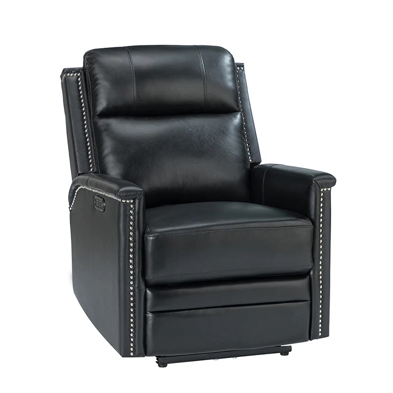 Ottfried Genuine Leather Power Recliner