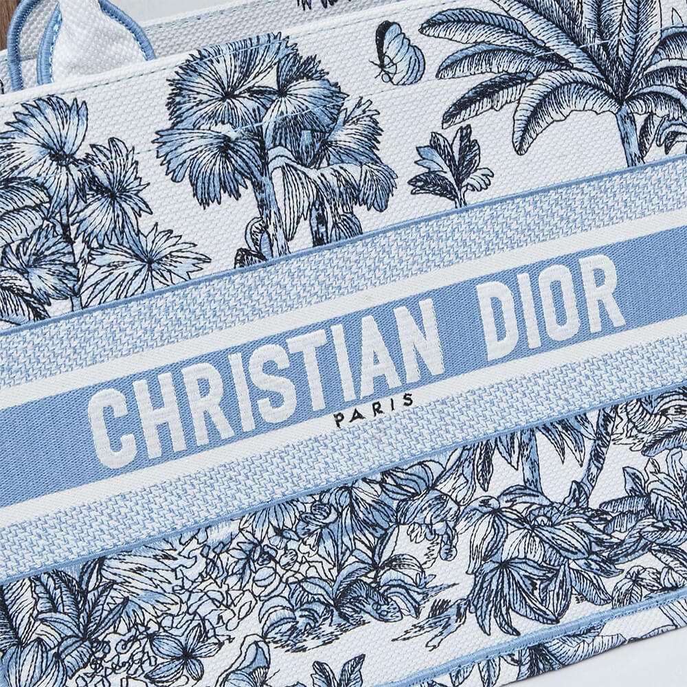 Medium Dior Book Tote - Top Club
