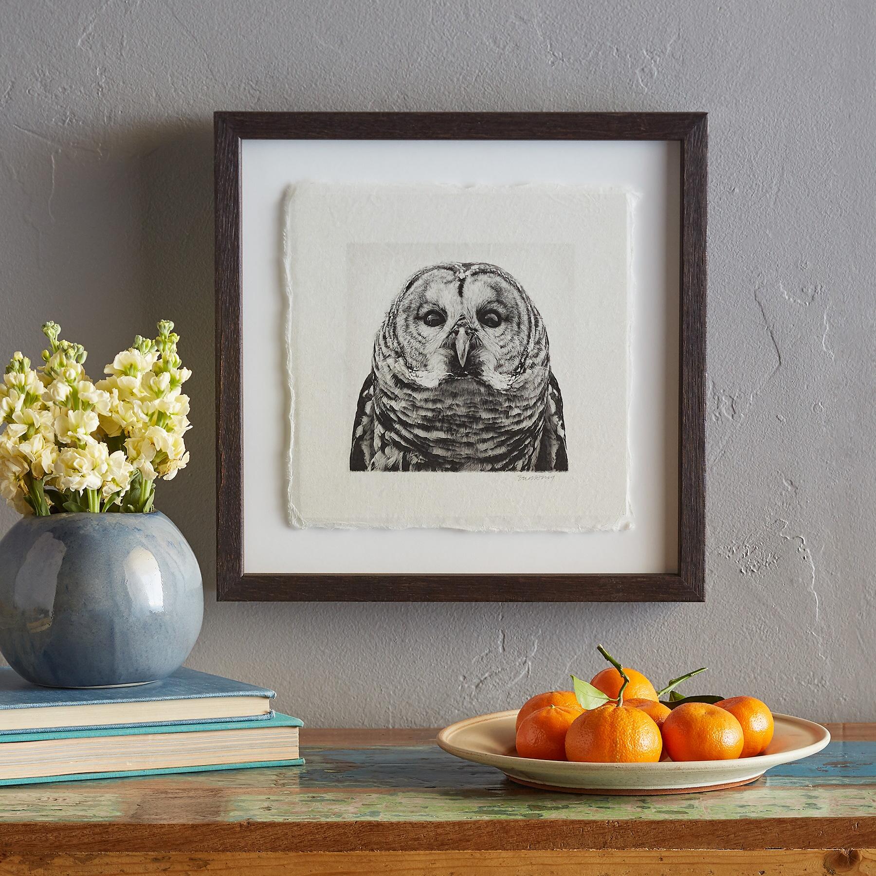Owl Prints - Sundance Living