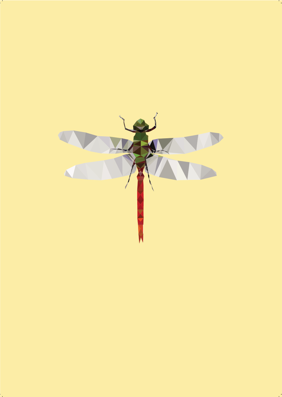 Poster Libelle 30 x 40 cm