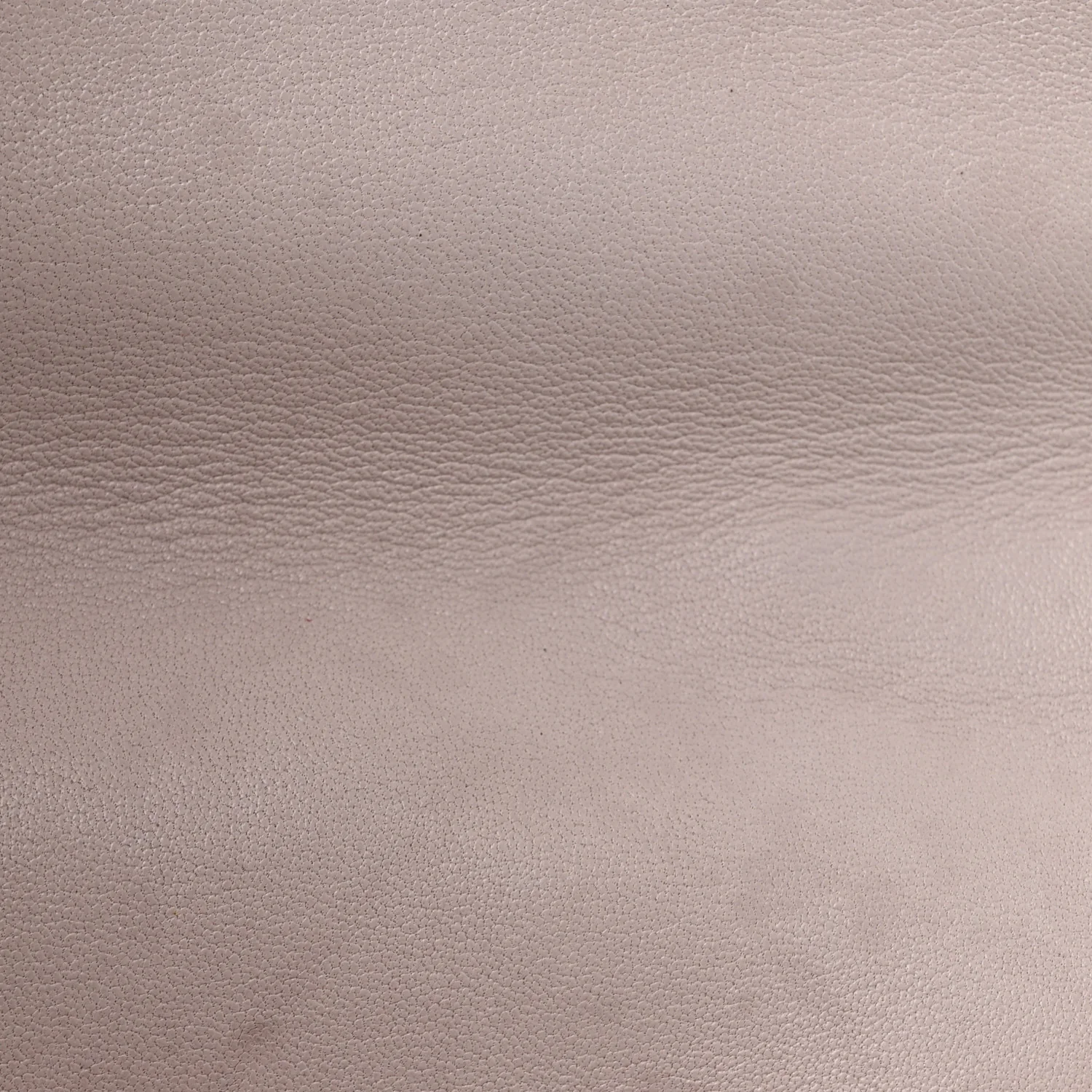 Lambskin Quilted Medium Chanel 19 Flap Light Pink - Top Club