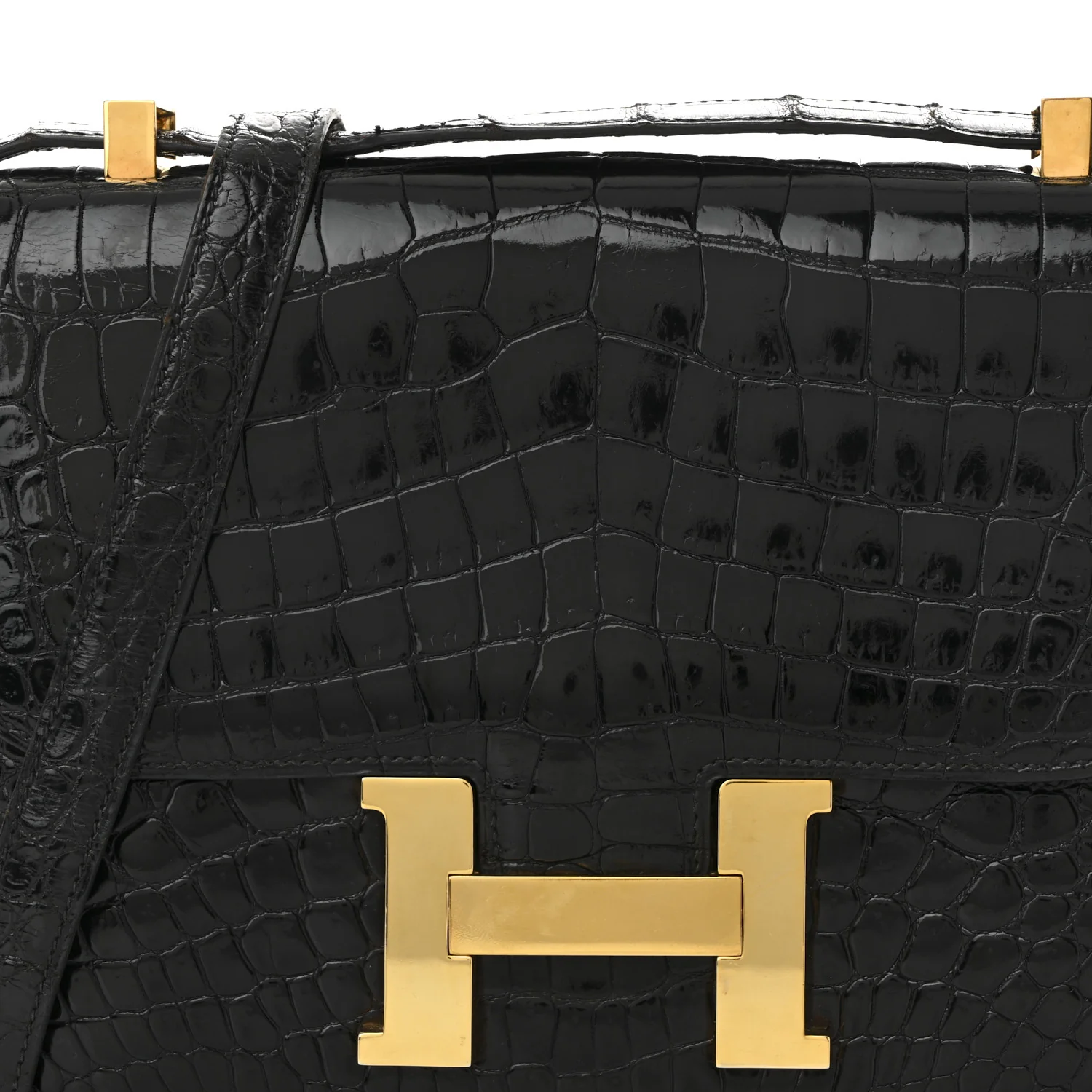 Shiny Caiman Crocodile Constance 23 Black - Top Club