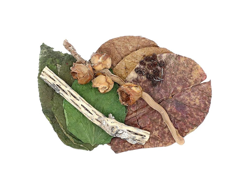Aquatic Arts Botanical Combo Pack