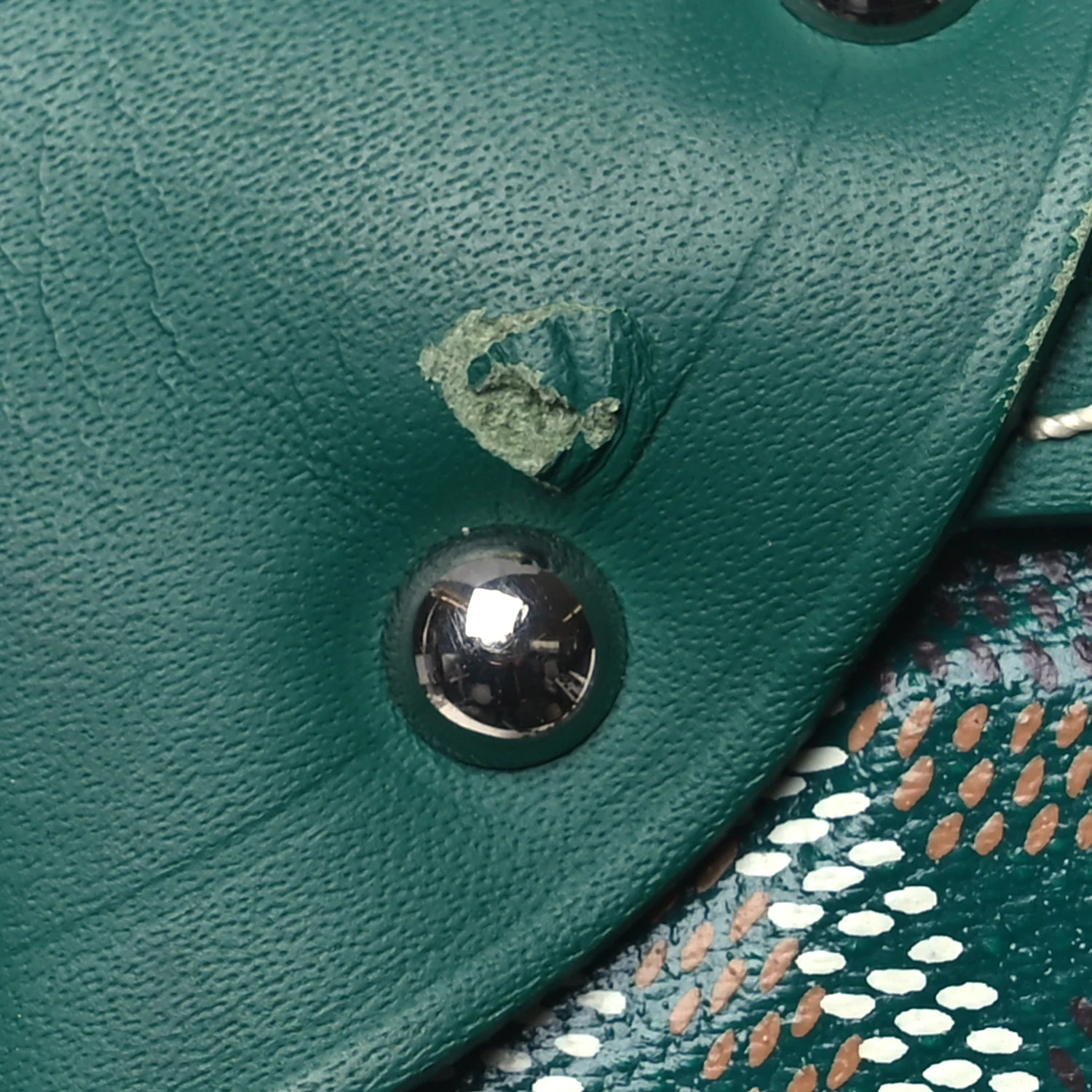 Goyardine Bourget PM Green - Top Club