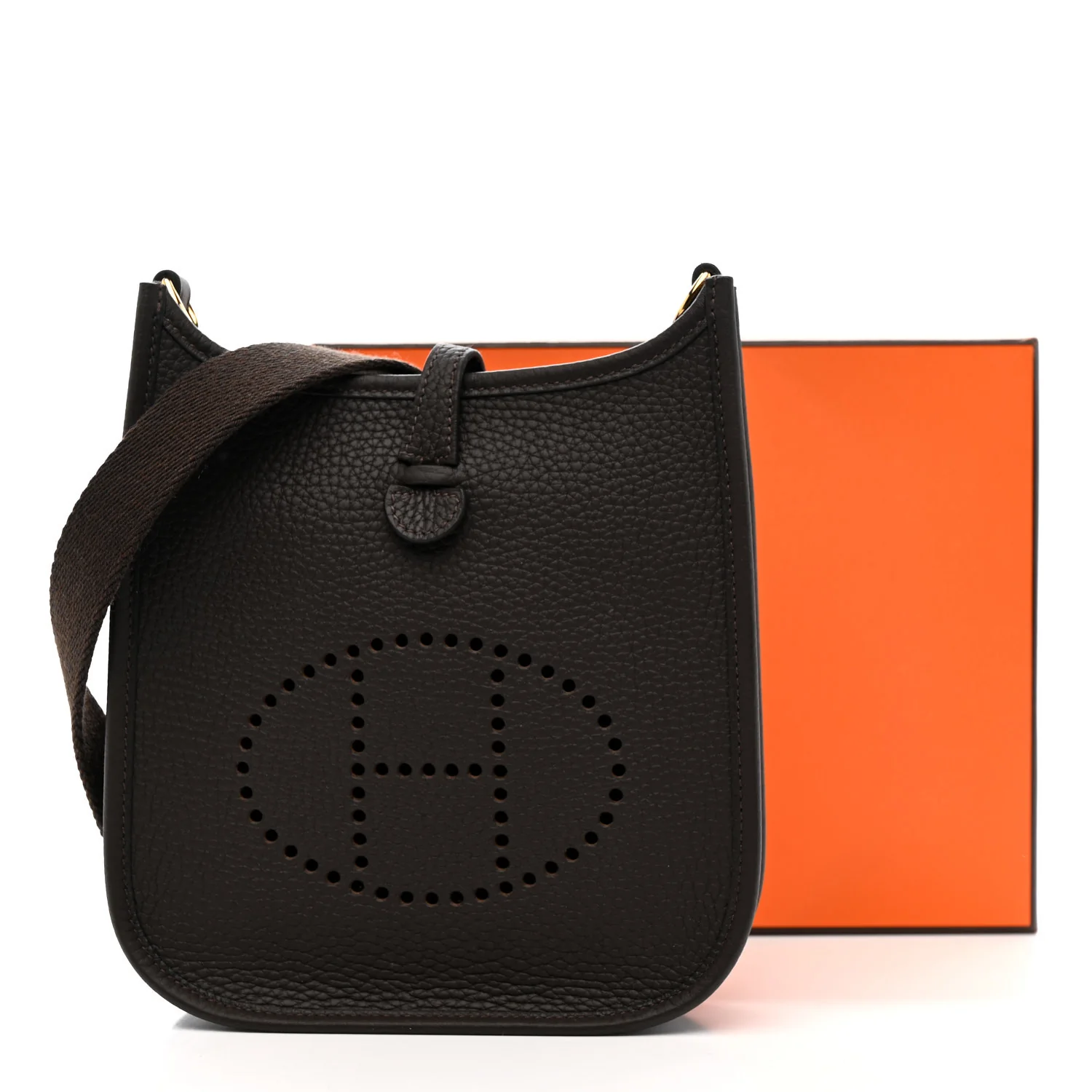 Taurillon Clemence Evelyne TPM Chocolate - Top Club