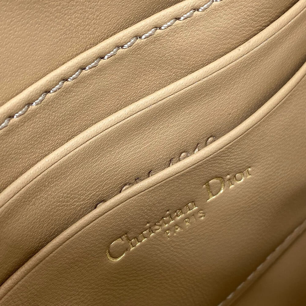 Dior Saddle Rodeo Pouch - Top Club