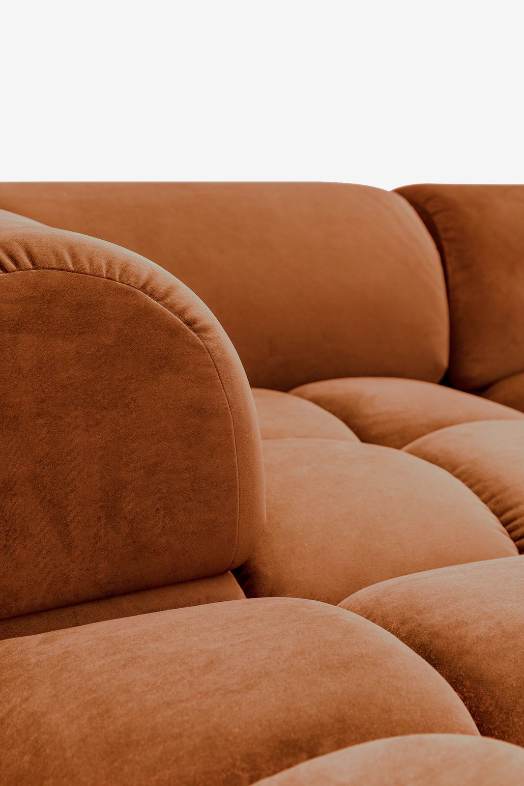 Marquis hoek Salvador brown