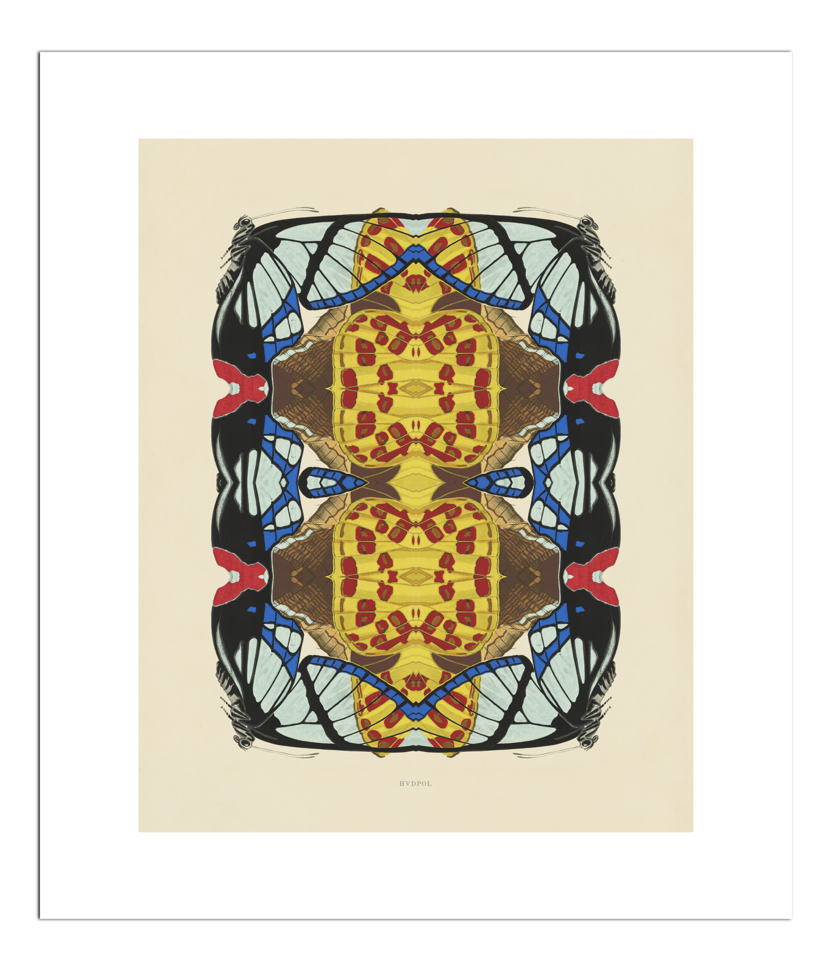 Poster Precious Beauty 40 x 50 cm