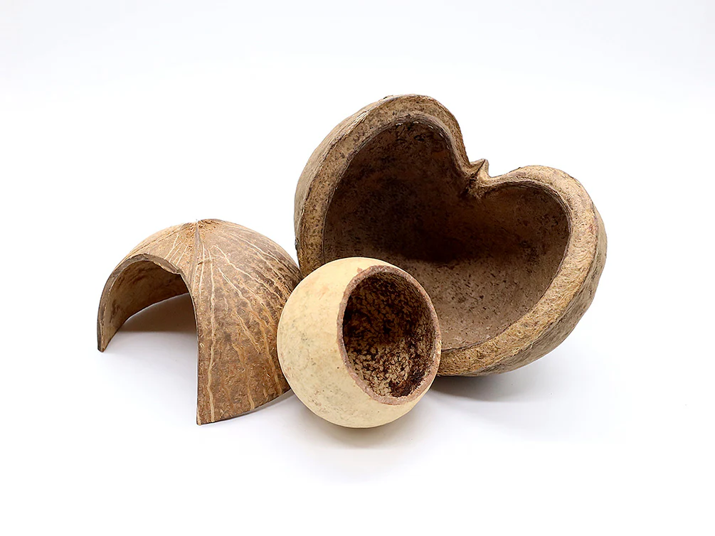 Aquatic Arts Natural Hide Combo Pack — Coconut Hut, Beal & Buddha Pods