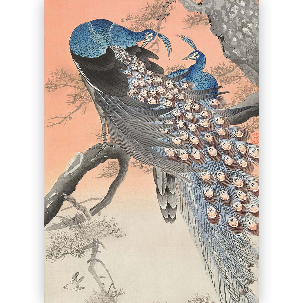 Poster Ohara Koson - Two Peacocks on a Branch 70x100 cm