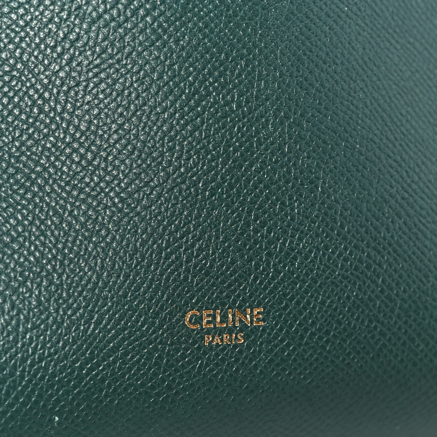 Grained Calfskin Micro Belt Bag Amazone - Top Club