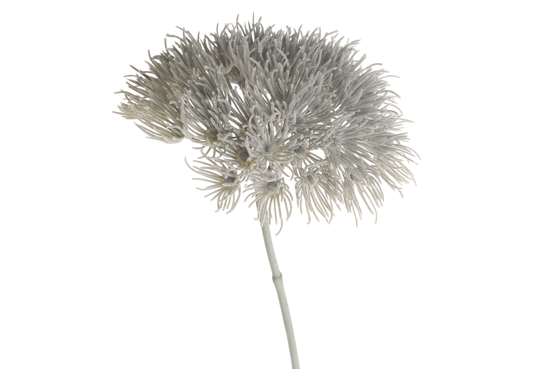 Artificial Heracleum branch