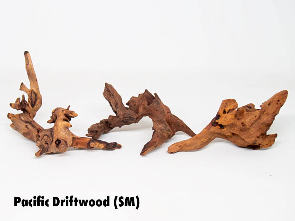 Pacific Driftwood (Dry)