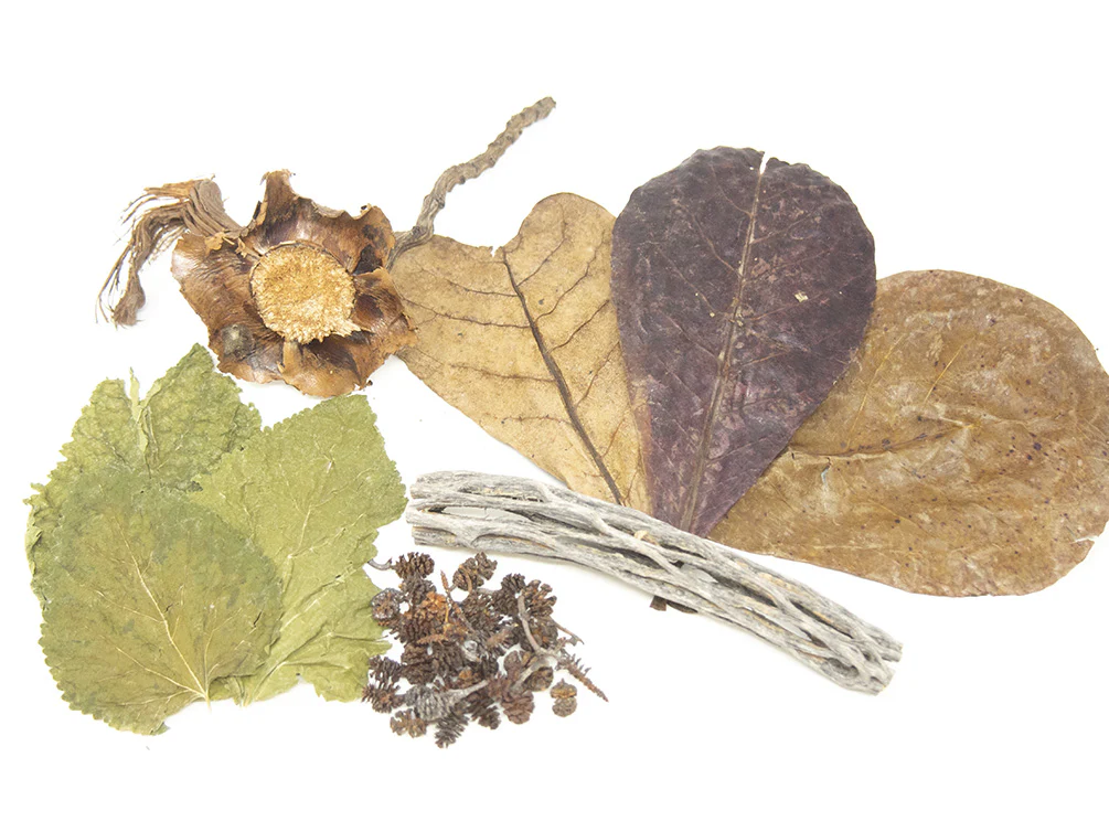 Aquatic Arts Botanical Combo Pack
