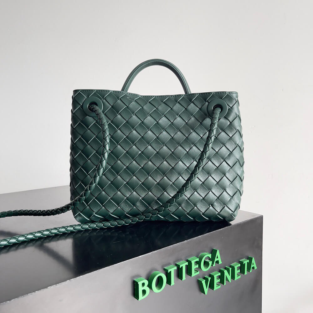 Bottega Veneta Small Andiamo - Top Club
