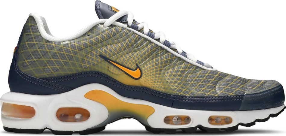 Air Max Plus  Wave Grid  BV1983-500 - Sneaker Replica Workshop
