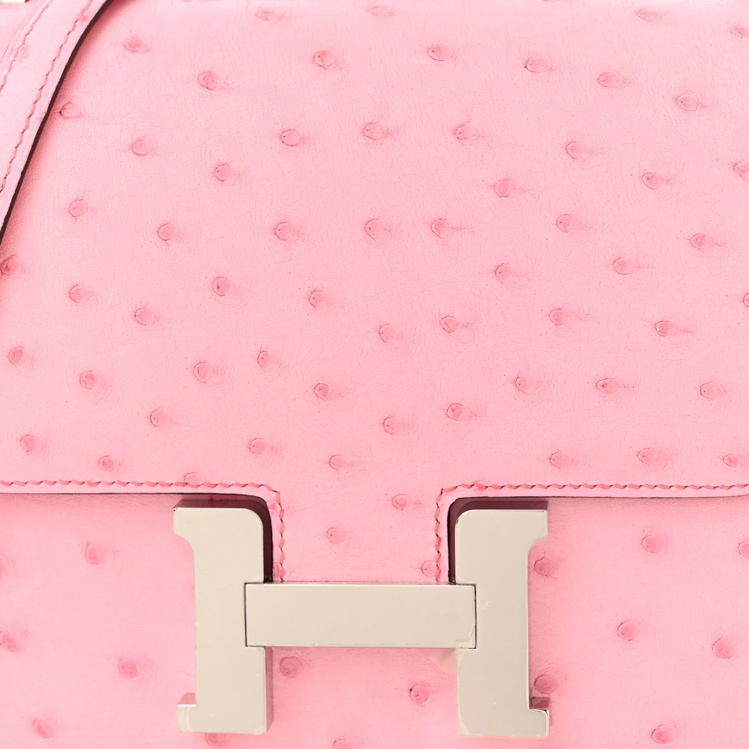 Ostrich Constance 18 Bubblegum - Top Club