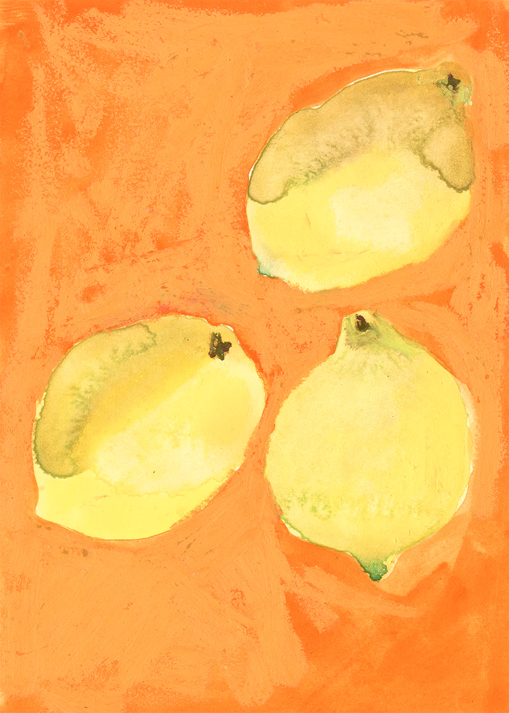 Poster Lemons 50 x 70 cm