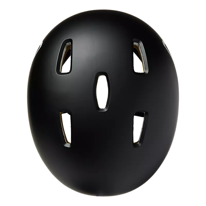 Flight helmet