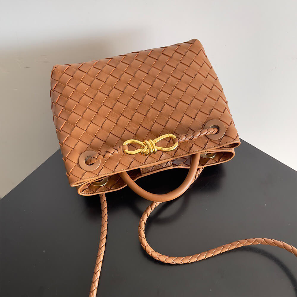 Bottega Veneta Small Andiamo - Top Club