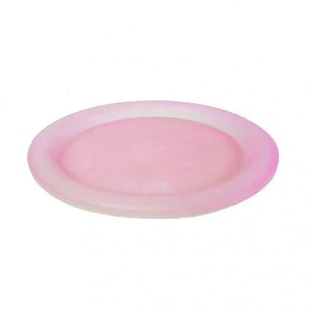 Hosa INOX PLATE 25 - Camping plate