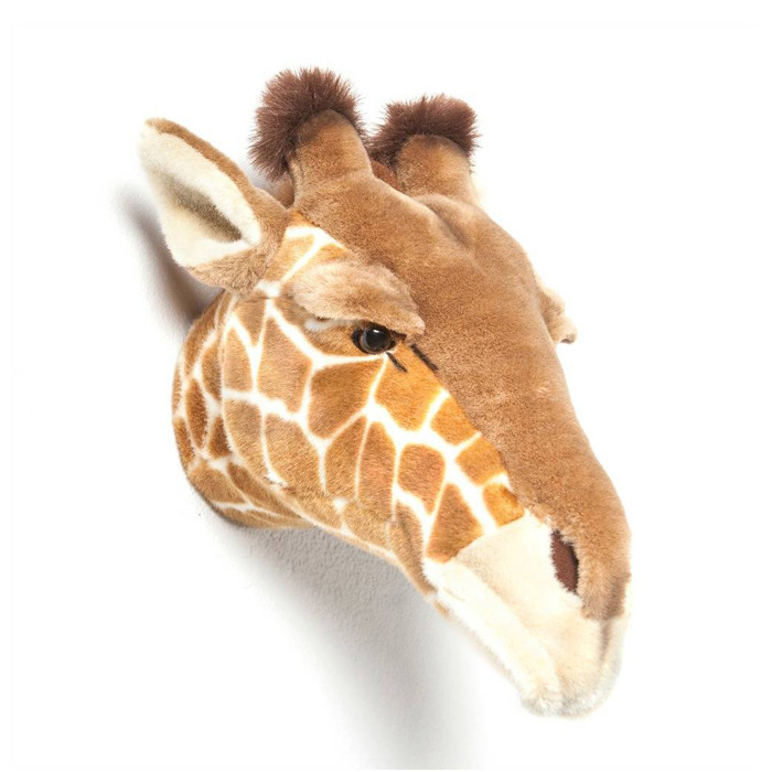 Dierenkop Giraffe