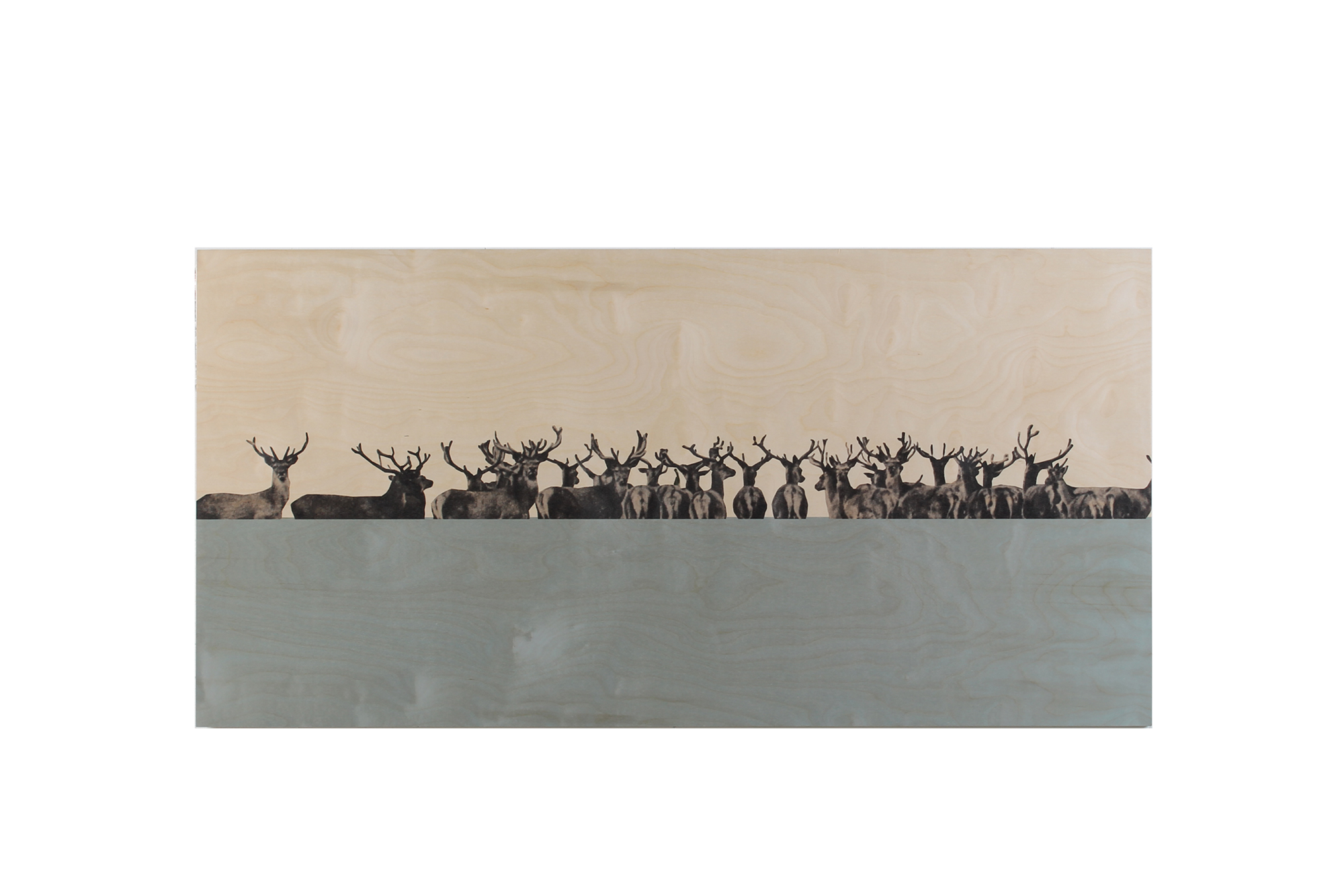 StoryWood wandpaneel Hertenkamp 80 x 40 cm