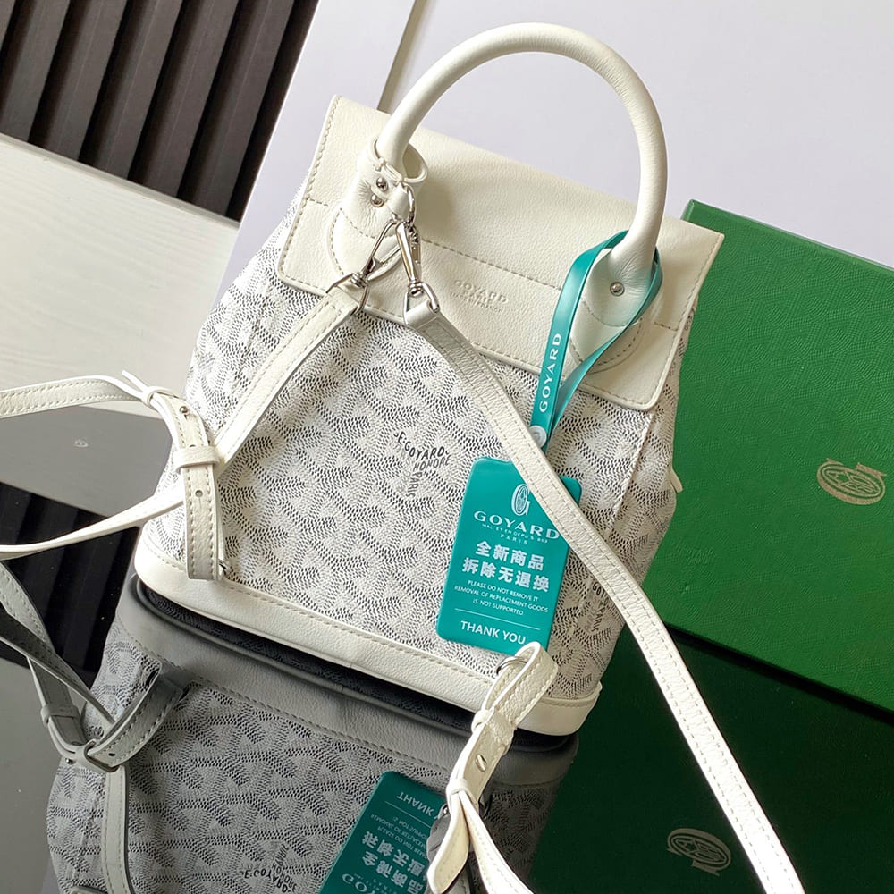 Goyard Alpin Mini Backpack - Top Club