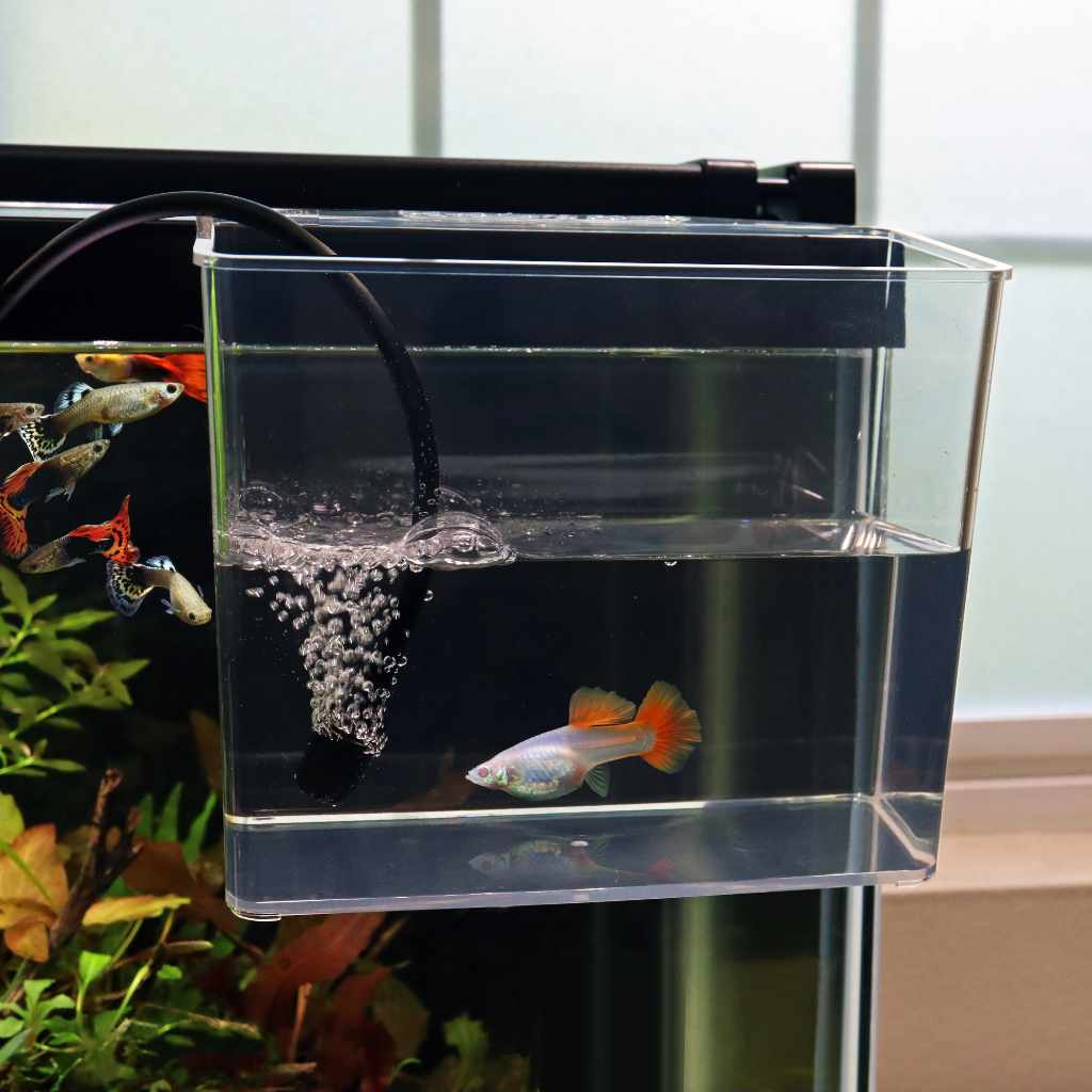 Aquarium Co-Op Unbreakable Catch Cup