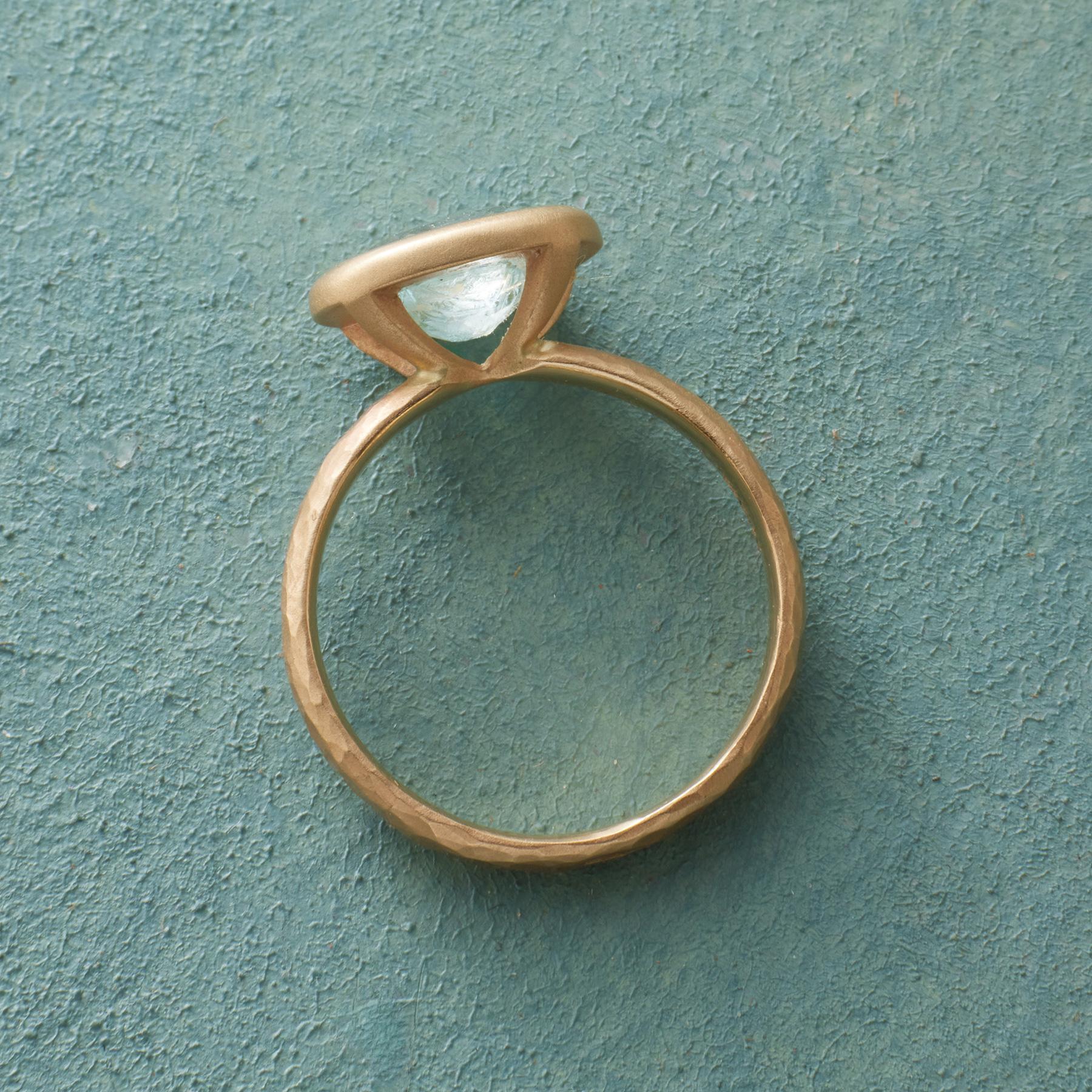 Aqua Afloat Ring - Sundance Living