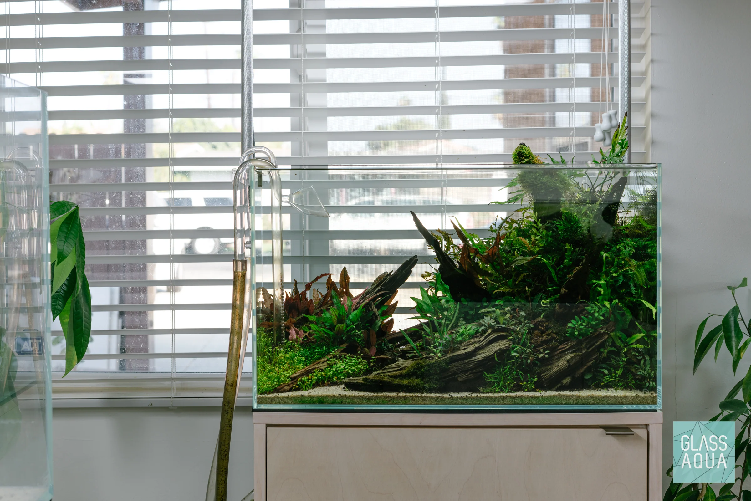 UNS Rimless Standard Glass Aquarium Tank