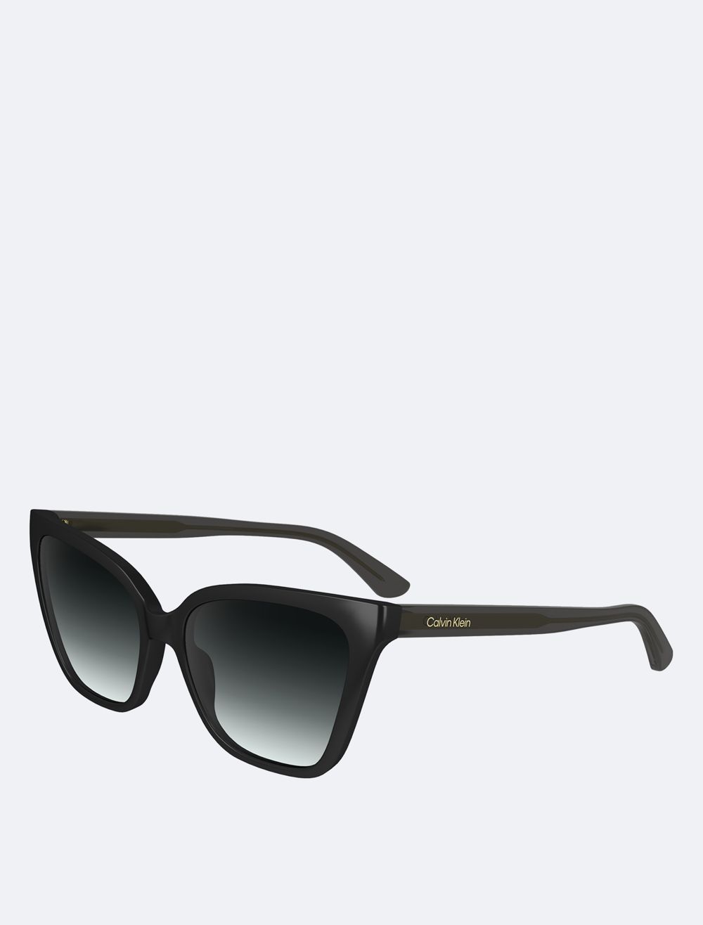 COACH Cat Eye Sunglasses