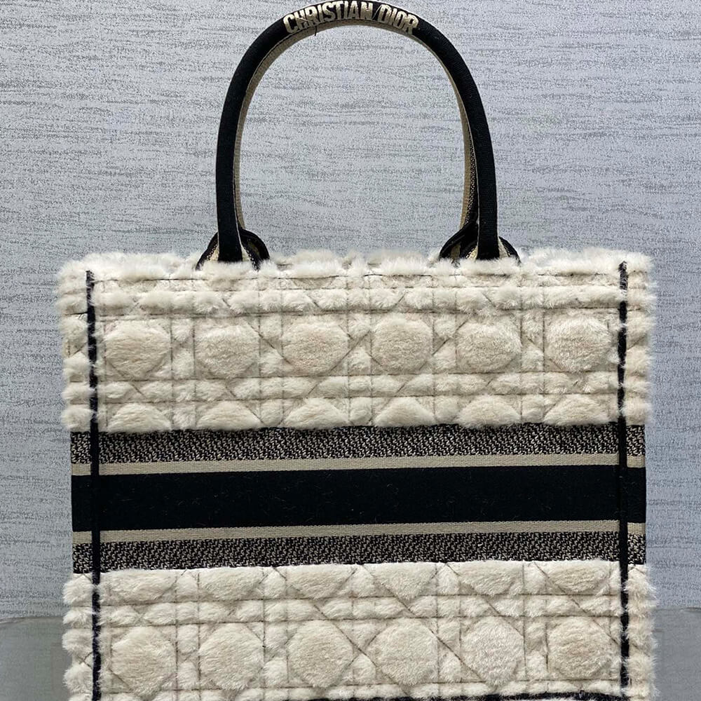 Medium Dior Book Tote - Top Club