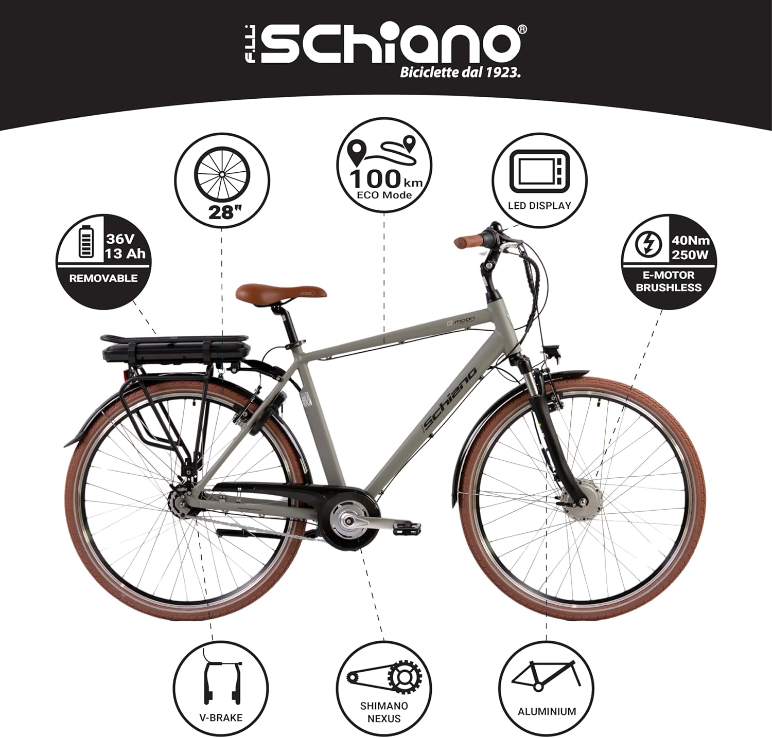 F.lli Schiano E-Moon, Bici Elettrica da Trekking 28 Inches per Adulti, 36V 13Ah Batteria Rimovibile, Motore 250W 40Nm, Trekking Ebike, Grigio da Uomo