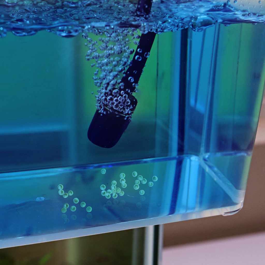Aquarium Co-Op Unbreakable Catch Cup