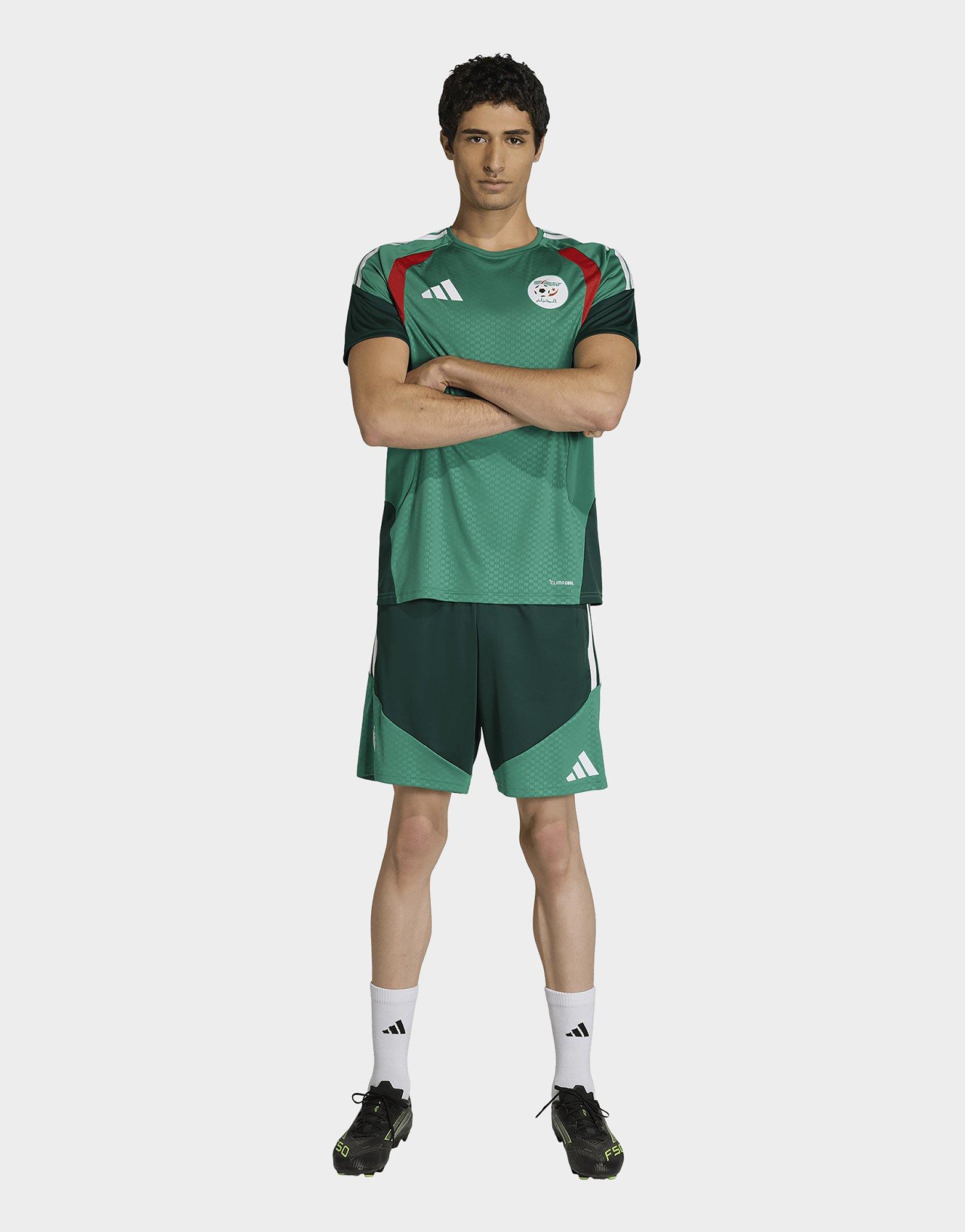 adidas Algerien 26 Trainingsshorts