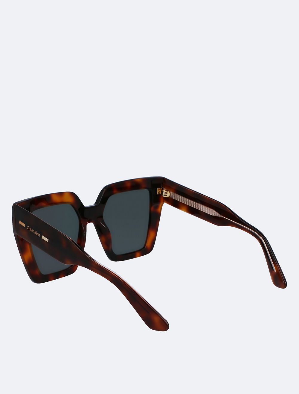 COACH Acetate Modified Square Sunglasses