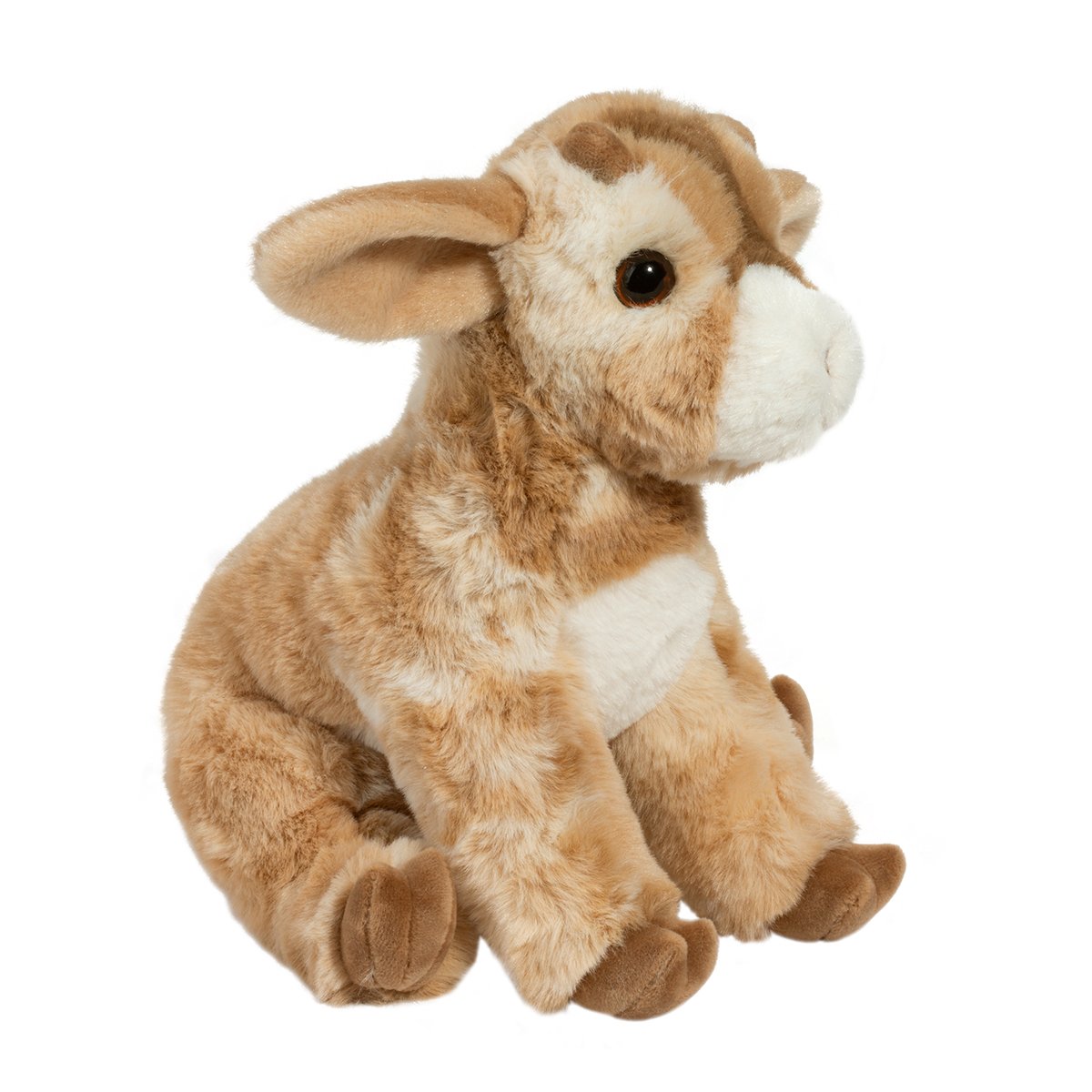 Dandie Soft Goat