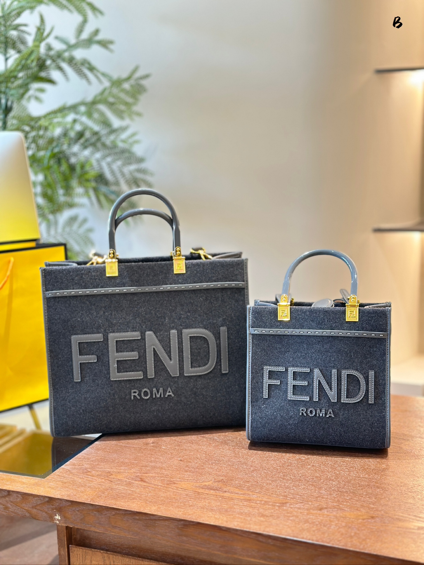 Fen new arrival Mon Tresor tote bag
