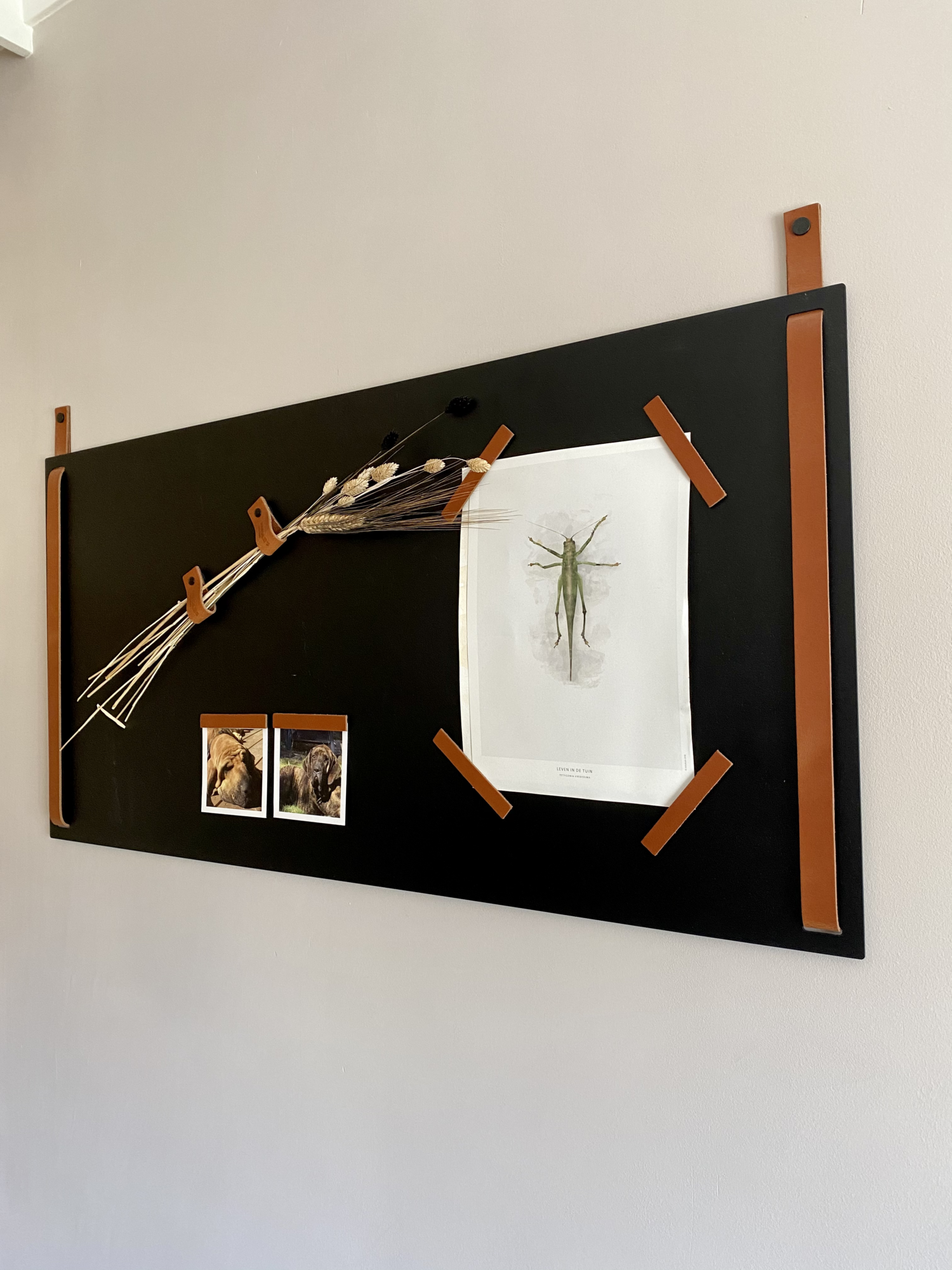 Magneetbord XL | Horizontaal - Petrol