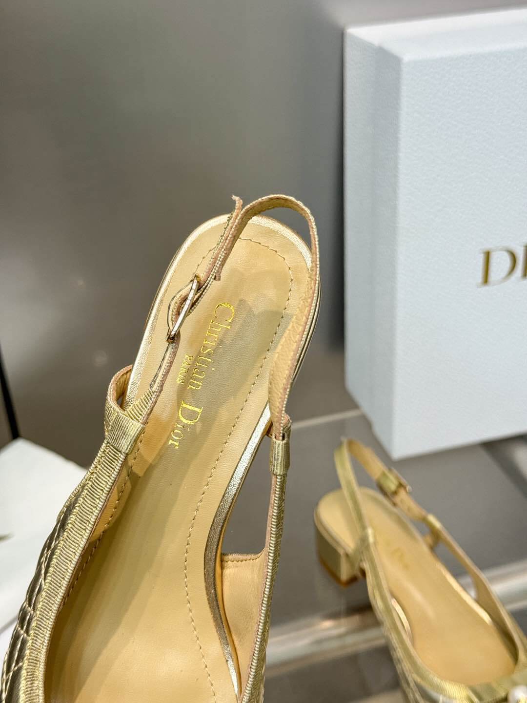 Dior Ballet Slingback Pump - Top Club