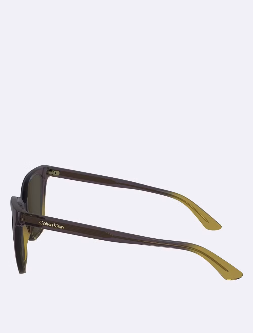 COACH Cat Eye Sunglasses