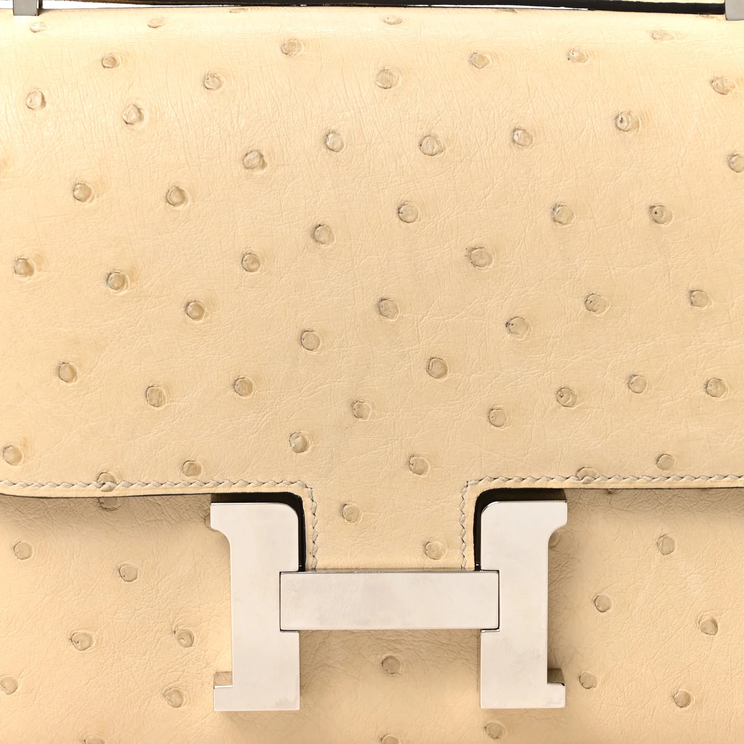 Ostrich Constance 18 Parchemin - Top Club